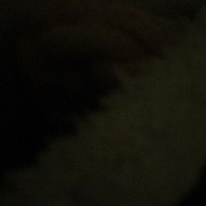 Meet your Posher, Makaylee